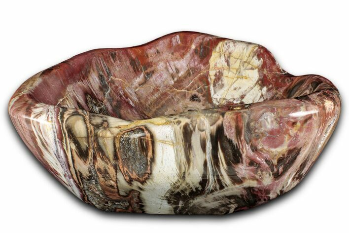 Polished Petrified Wood Bowl - Madagascar #337504